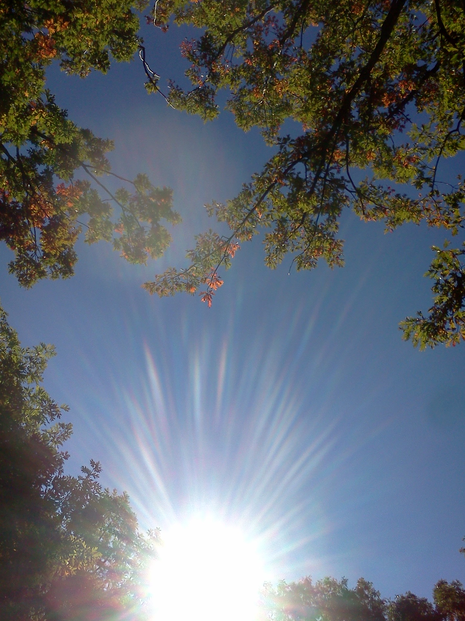 IMG_20120926_10 cshlex light burst!